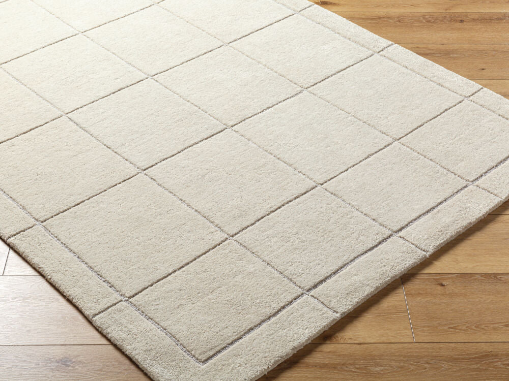 Brook Light Beige/Medium Gray Handmade Rug - corner