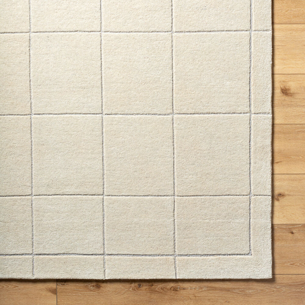 Brook Light Beige/Medium Gray Handmade Rug - overhead