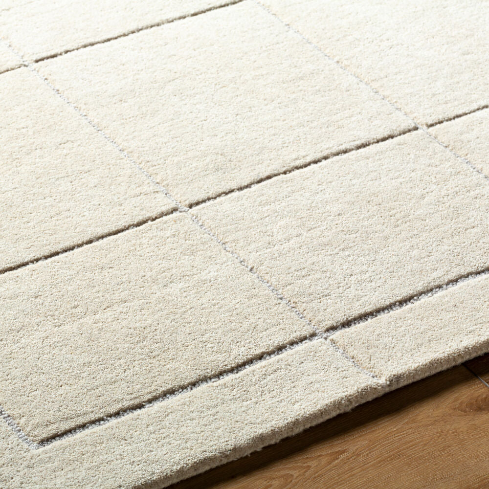Brook Light Beige/Medium Gray Handmade Rug - texture