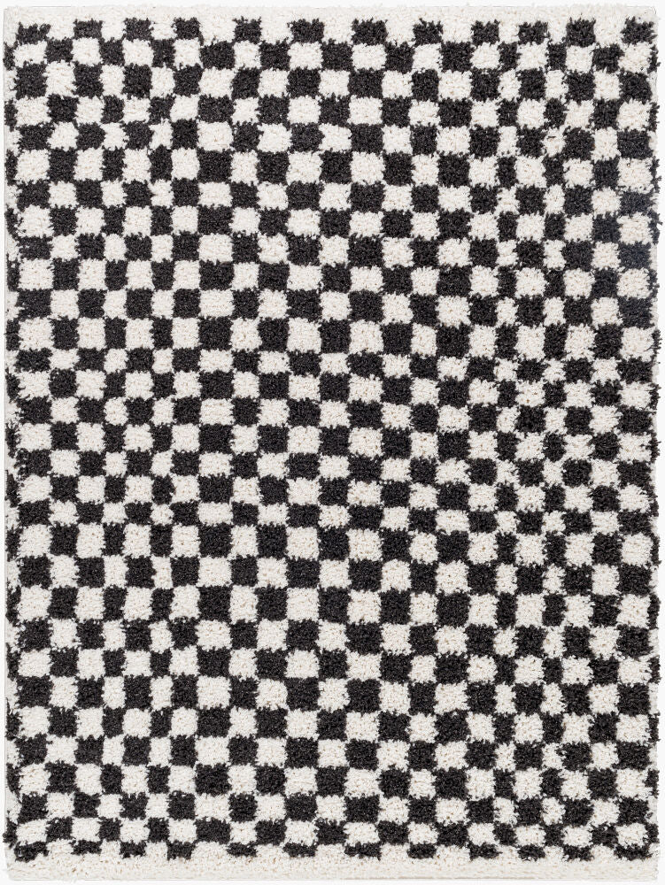 Birmingham Black/Ivory Machine Woven Rug - 5'3" x 7'
