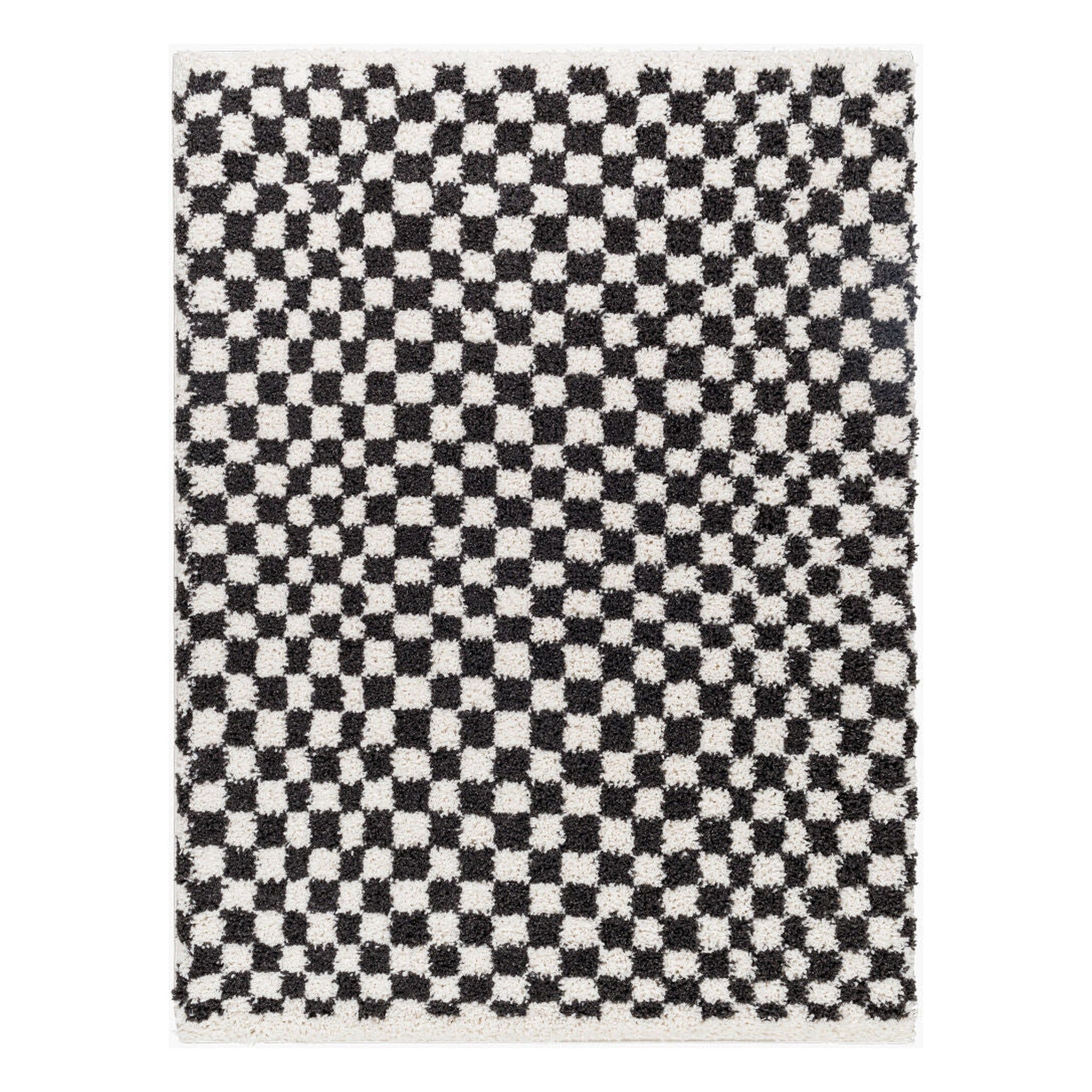 Birmingham Black/Ivory Machine Woven Rug - 5'3" x 7'