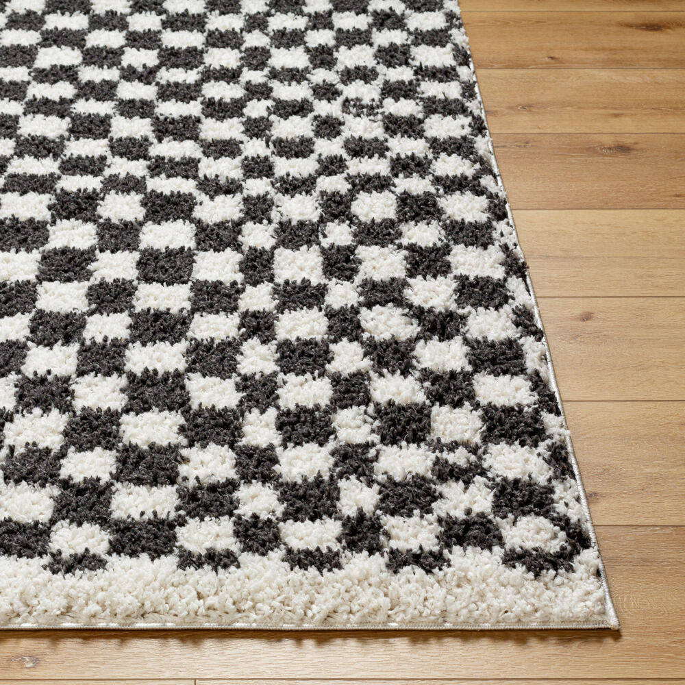Birmingham Black/Ivory Machine Woven Rug - front