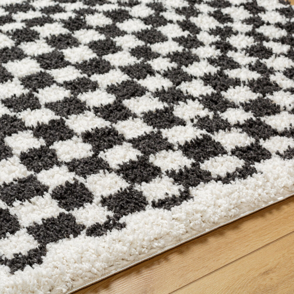 Birmingham Black/Ivory Machine Woven Rug - texture