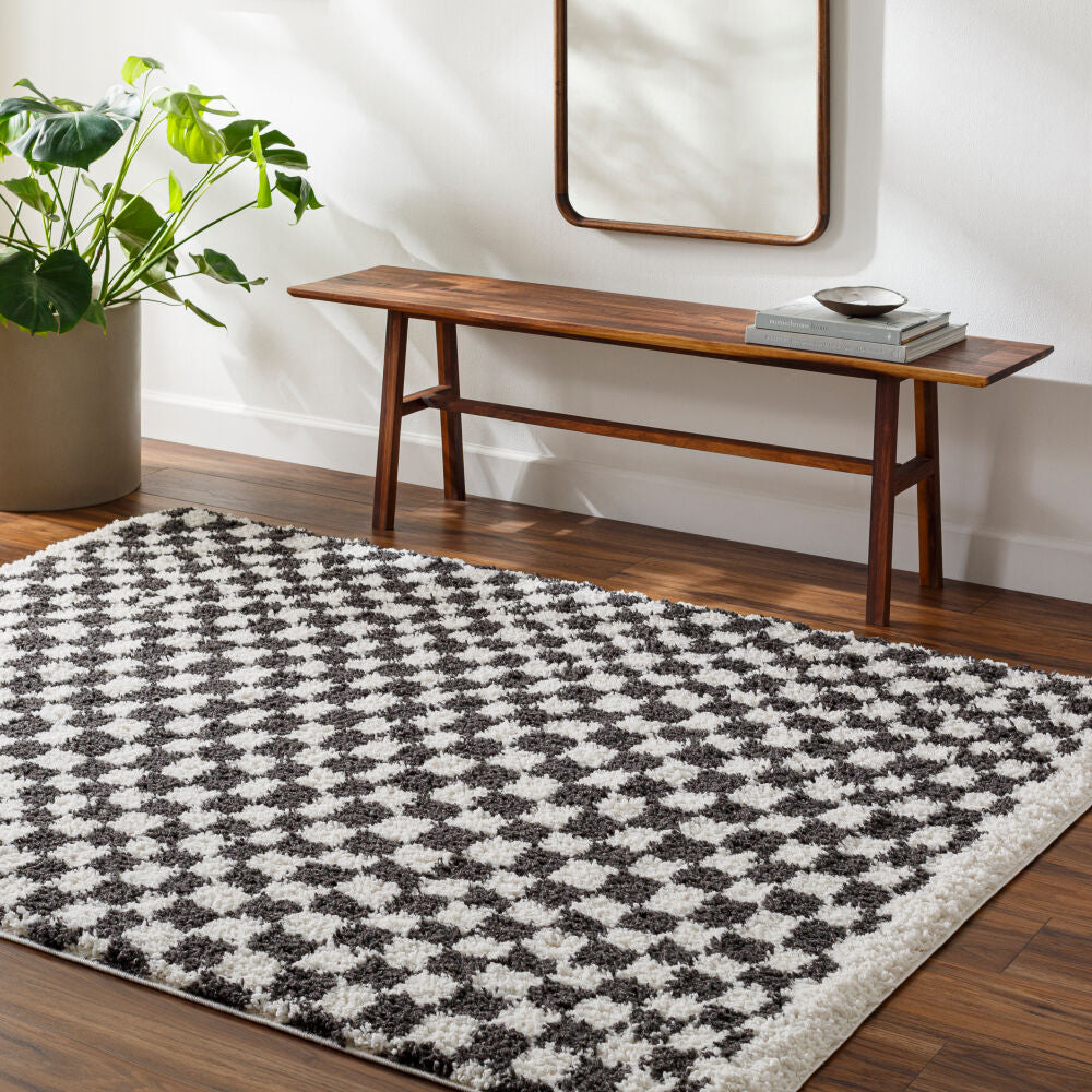 Birmingham Black/Ivory Machine Woven Rug - roomscene