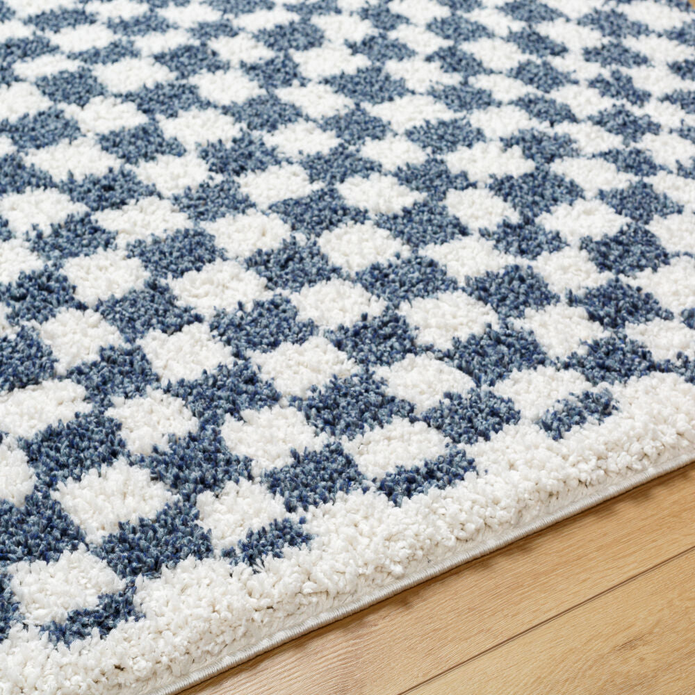 Birmingham Blue/Ivory Machine Woven Rug - texture