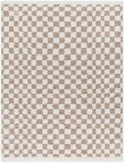 Birmingham Ivory/Tan Machine Woven Rug - 5'3" x 7'