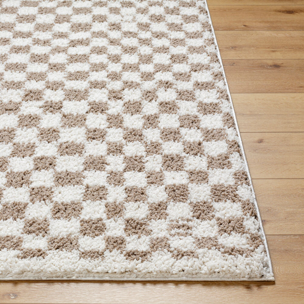 Birmingham Ivory/Tan Machine Woven Rug - front