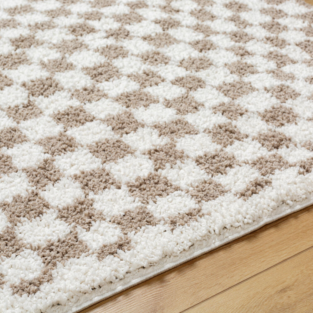 Birmingham Ivory/Tan Machine Woven Rug - texture
