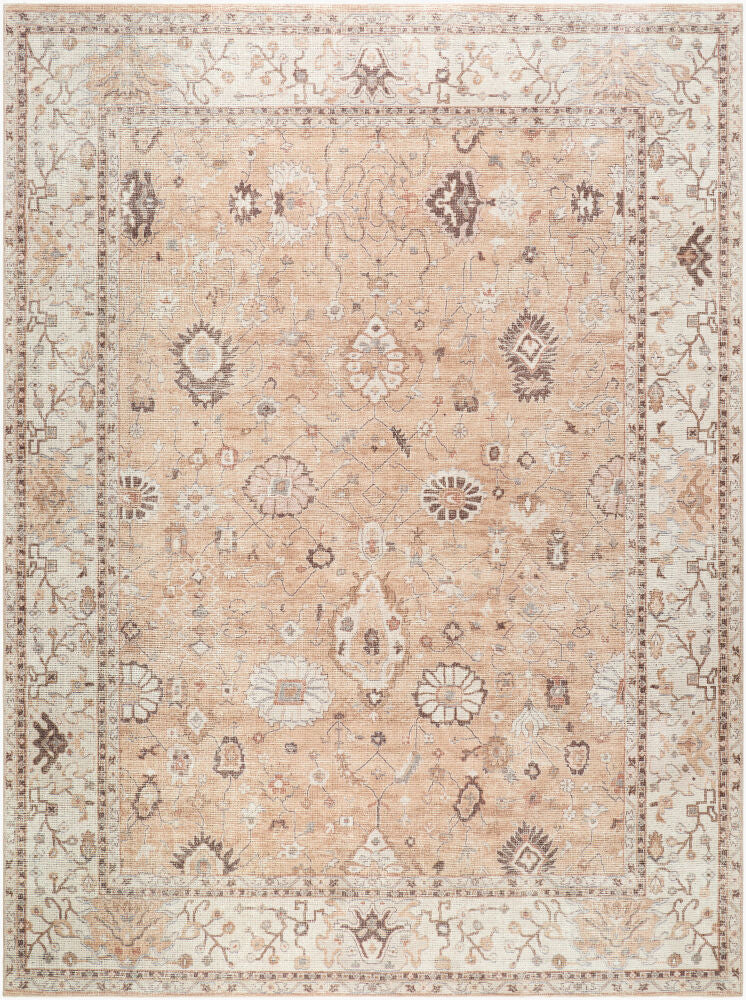 Davina Brown/Tan Machine Woven Rug - 2'2" x 3'9"