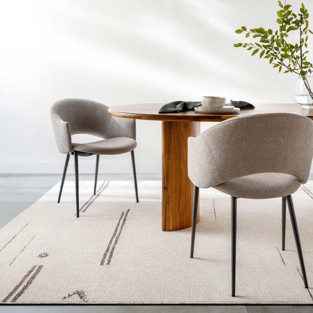 Rivi Charcoal/Medium Gray Machine Woven Rug - roomscene