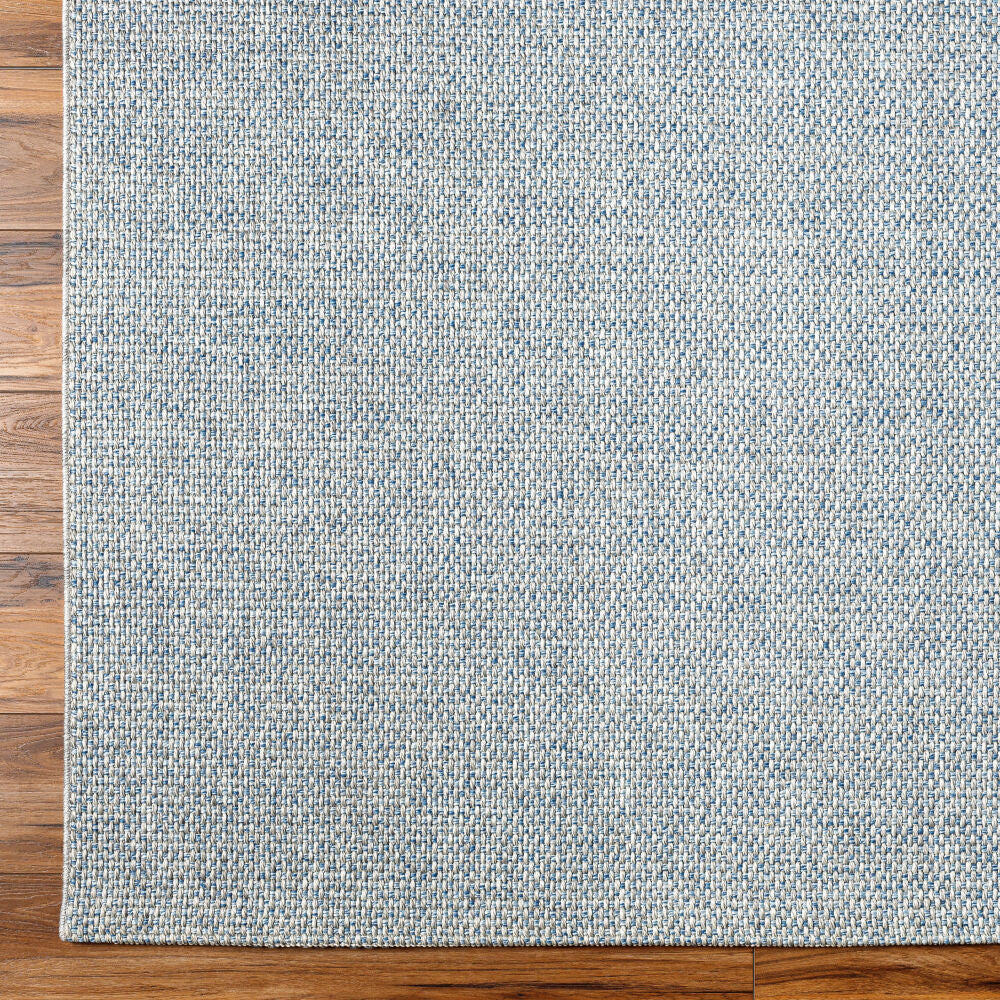 Birdie Denim/Light Gray Machine Woven Rug - overhead