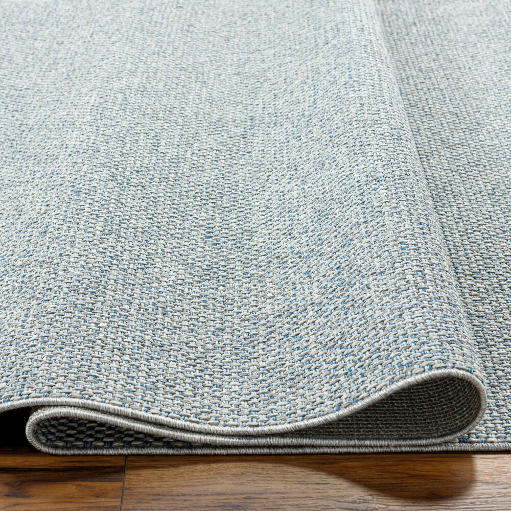 Birdie Denim/Light Gray Machine Woven Rug - texture