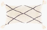 Braith Lumbar Pillow - 14"L x 24"W