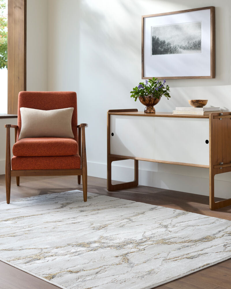 Amman Beige/Tan Machine Woven Rug BTA-2300 - roomscene
