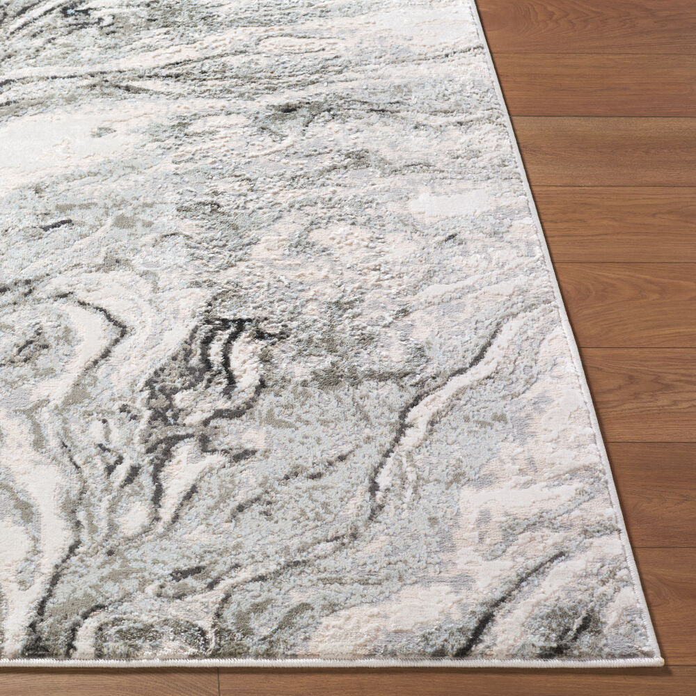 Amman Beige/Tan Machine Woven Rug BTA-2301 - front