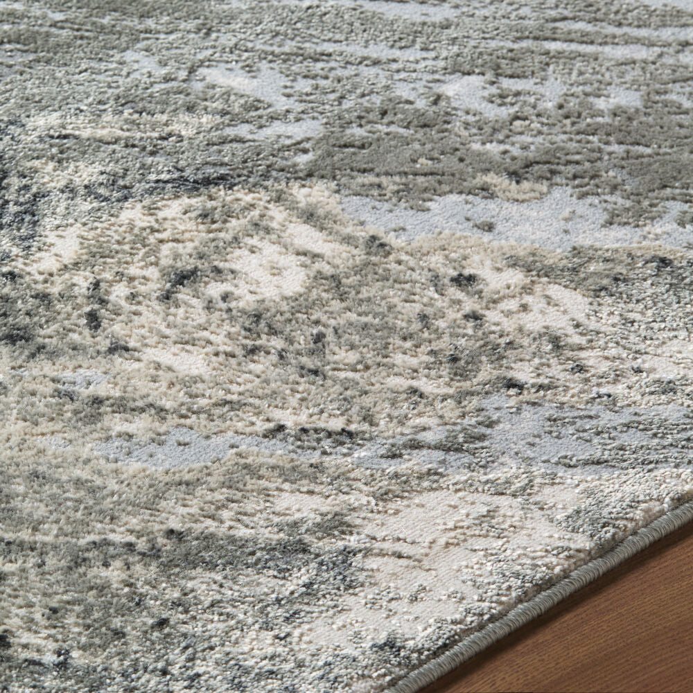 Amman Beige/Light Slate Machine Woven Rug BTA-2304 - texture