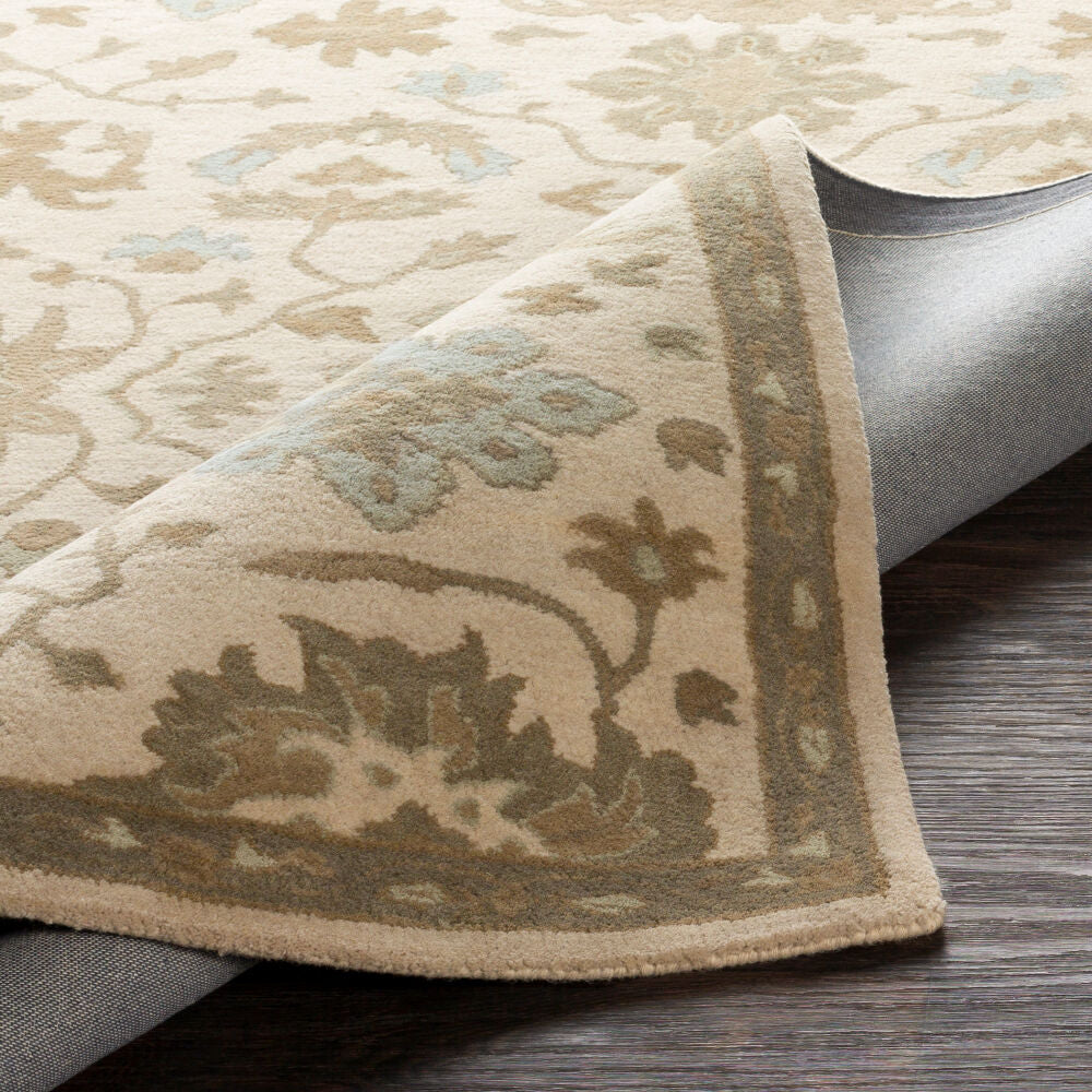 Caesar Light Beige/Sage Handmade Rug - fold
