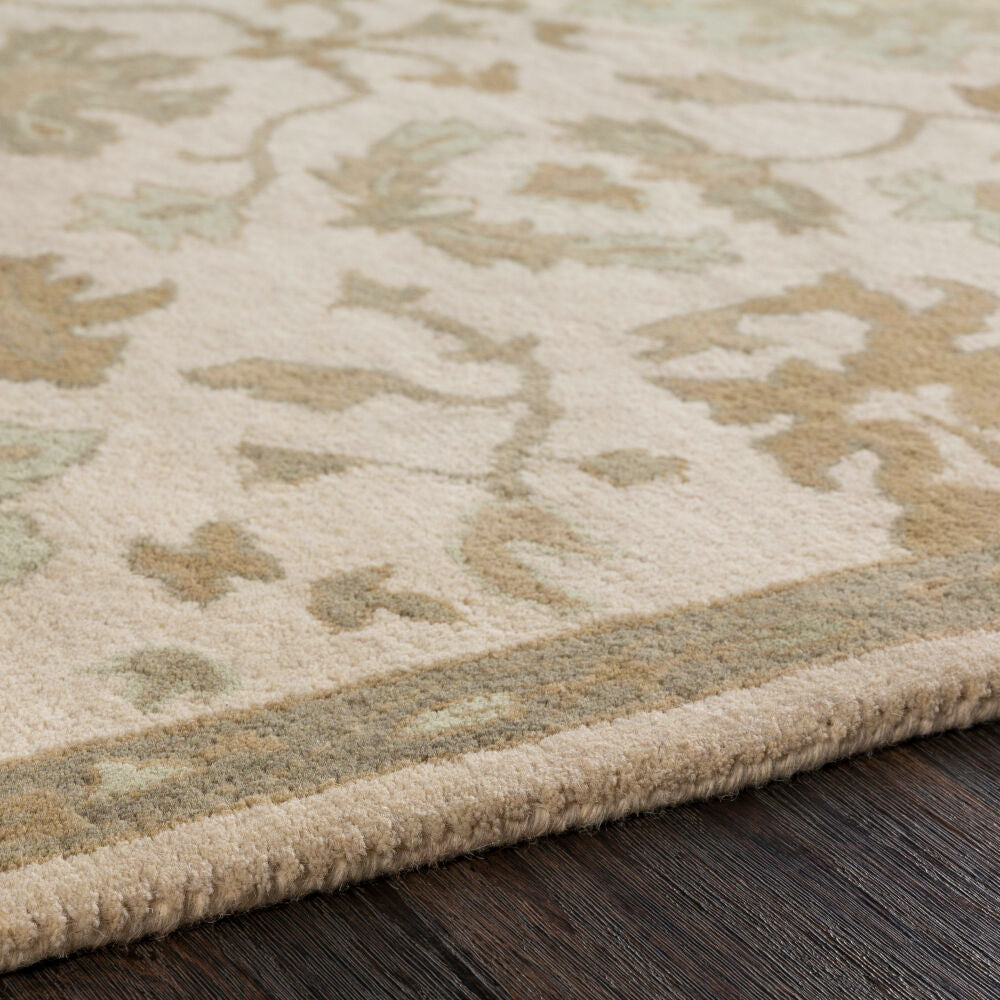 Caesar Light Beige/Sage Handmade Rug - texture