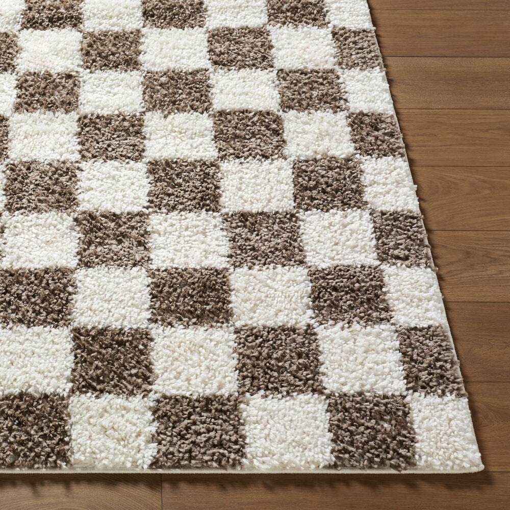Czechia Charcoal/Off-White Machine Woven Rug - front