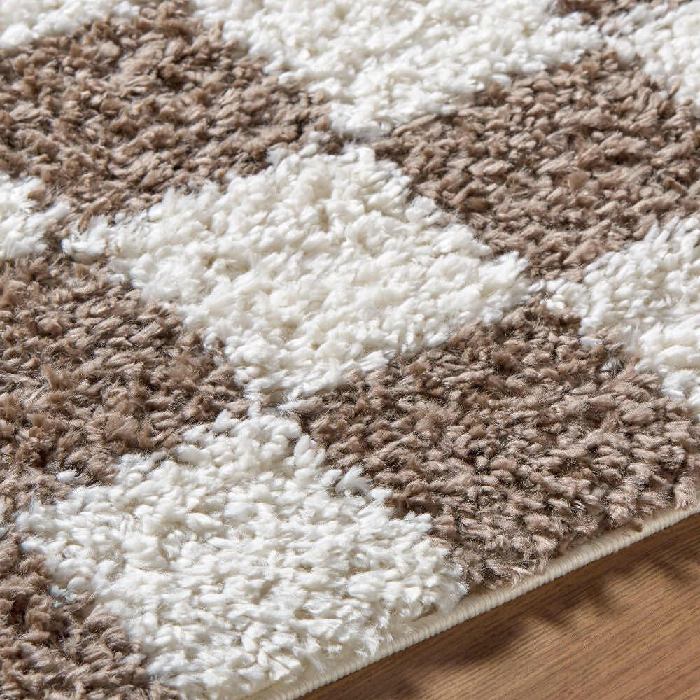 Czechia Charcoal/Off-White Machine Woven Rug - texture