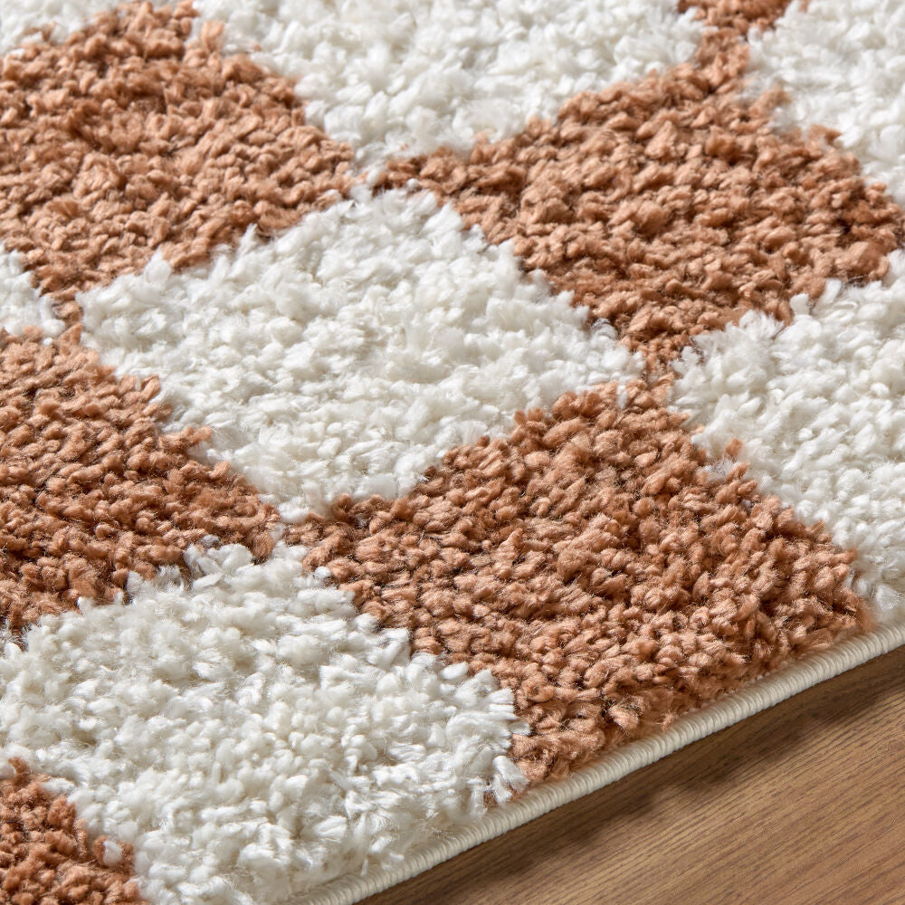 Czechia Burnt Orange/Off-White Machine Woven Rug - texture