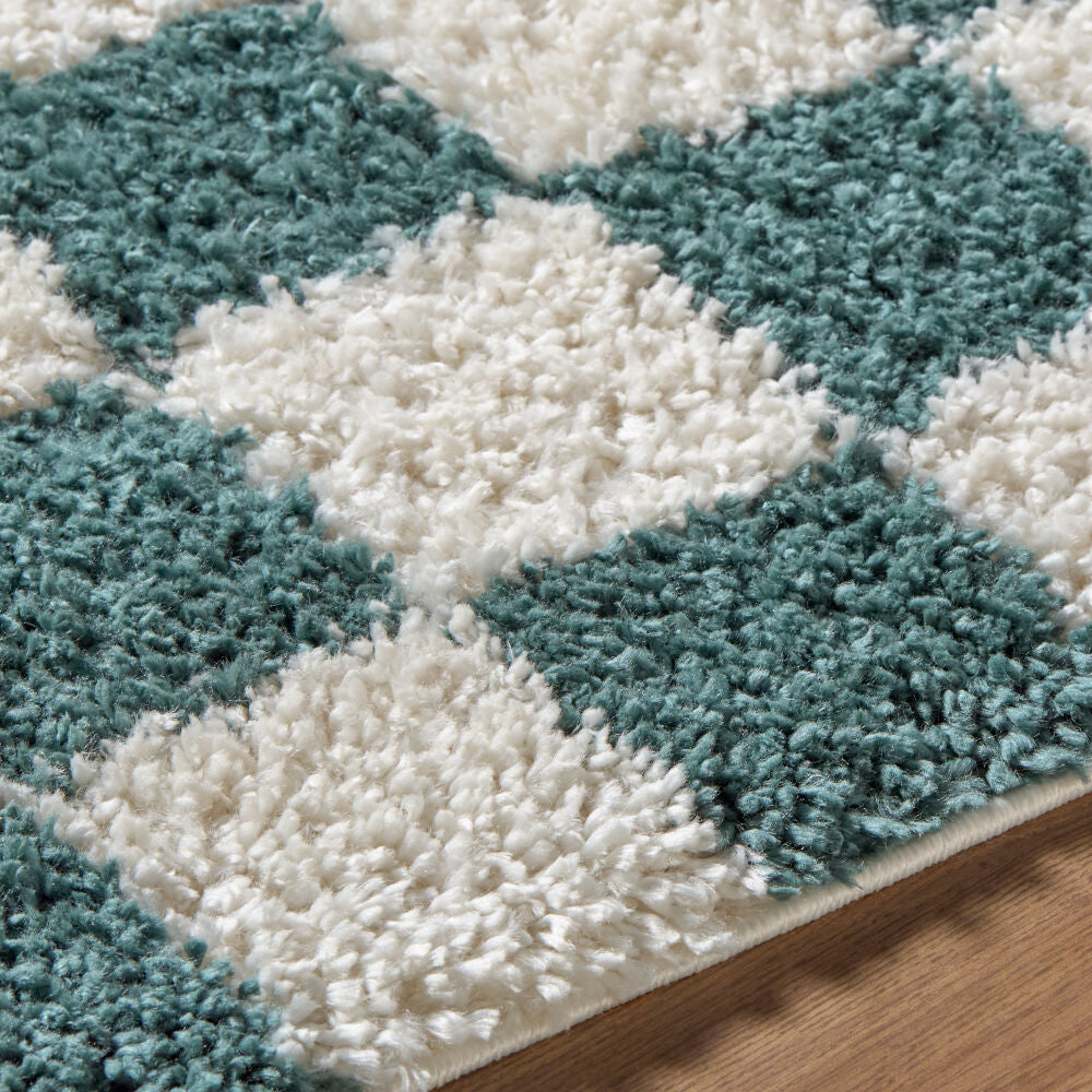 Czechia Deep Teal/Off-White Machine Woven Rug - texture