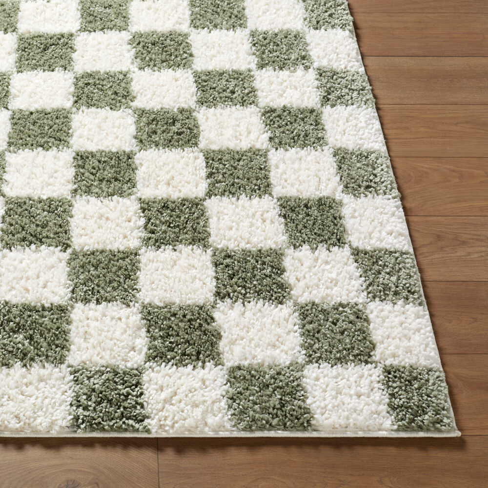 Czechia Ivory/Olive Machine Woven Rug - front