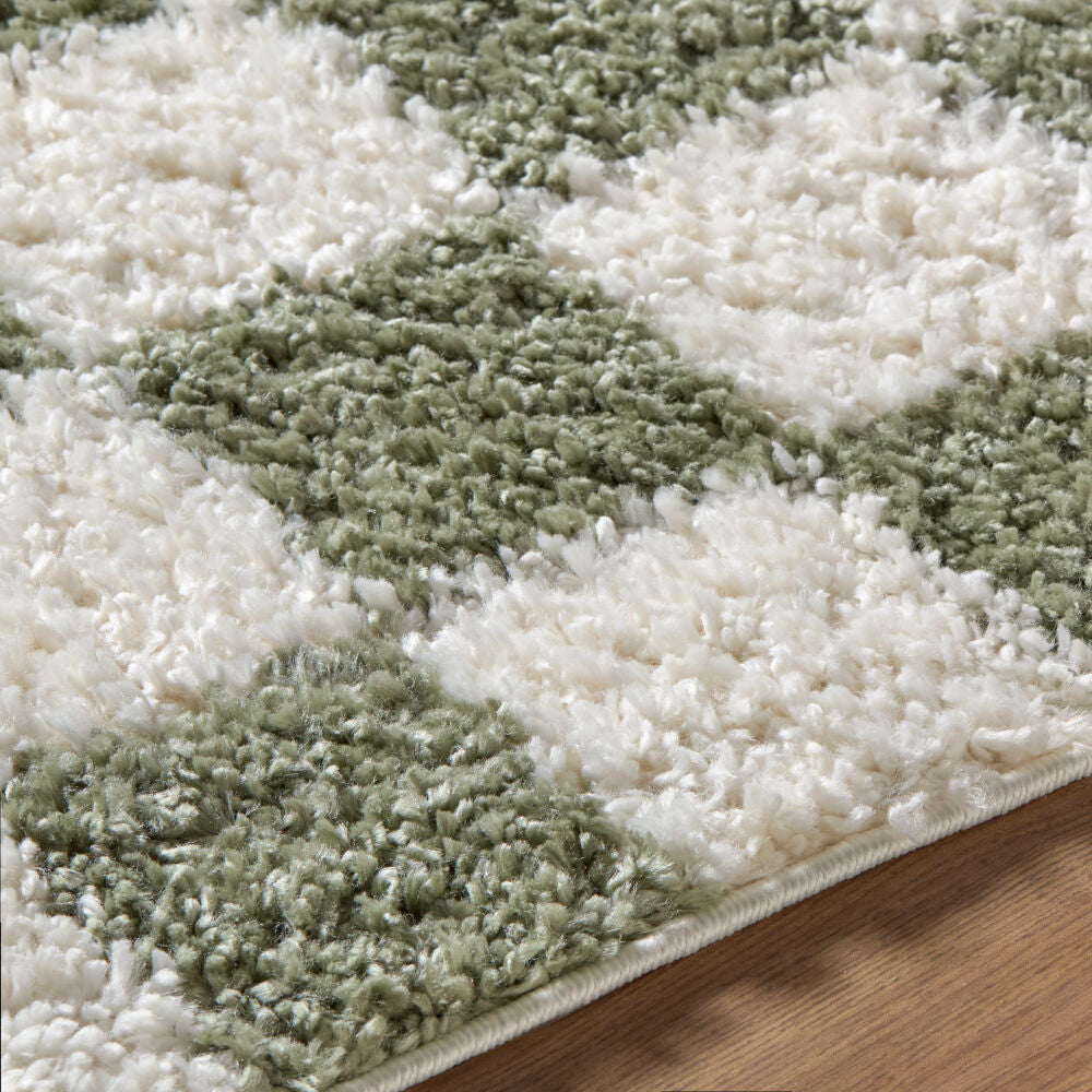 Czechia Ivory/Olive Machine Woven Rug - texture