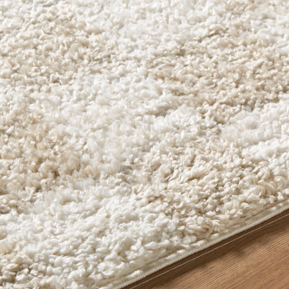 Czechia Ivory/Off-White Machine Woven Rug CZE-2306 - texture