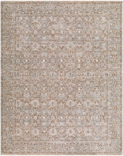Demre Brown/Tan Machine Woven Rug DMM-2300 - 10' x 14'