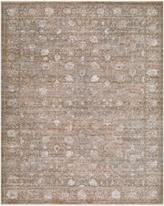 Demre Brown/Tan Machine Woven Rug DMM-2303 - 10' x 14'
