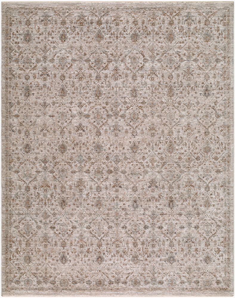 Demre Brown/Tan Machine Woven Rug DMM-2304 - 10' x 14'
