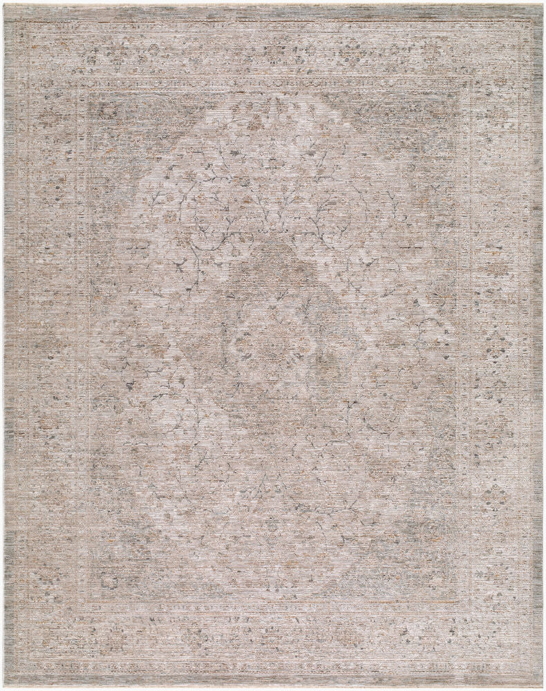 Demre Brown/Tan Machine Woven Rug DMM-2307 - 10' x 14'