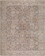 Demre Brown/Tan Machine Woven Rug DMM-2309 - 10' x 14'