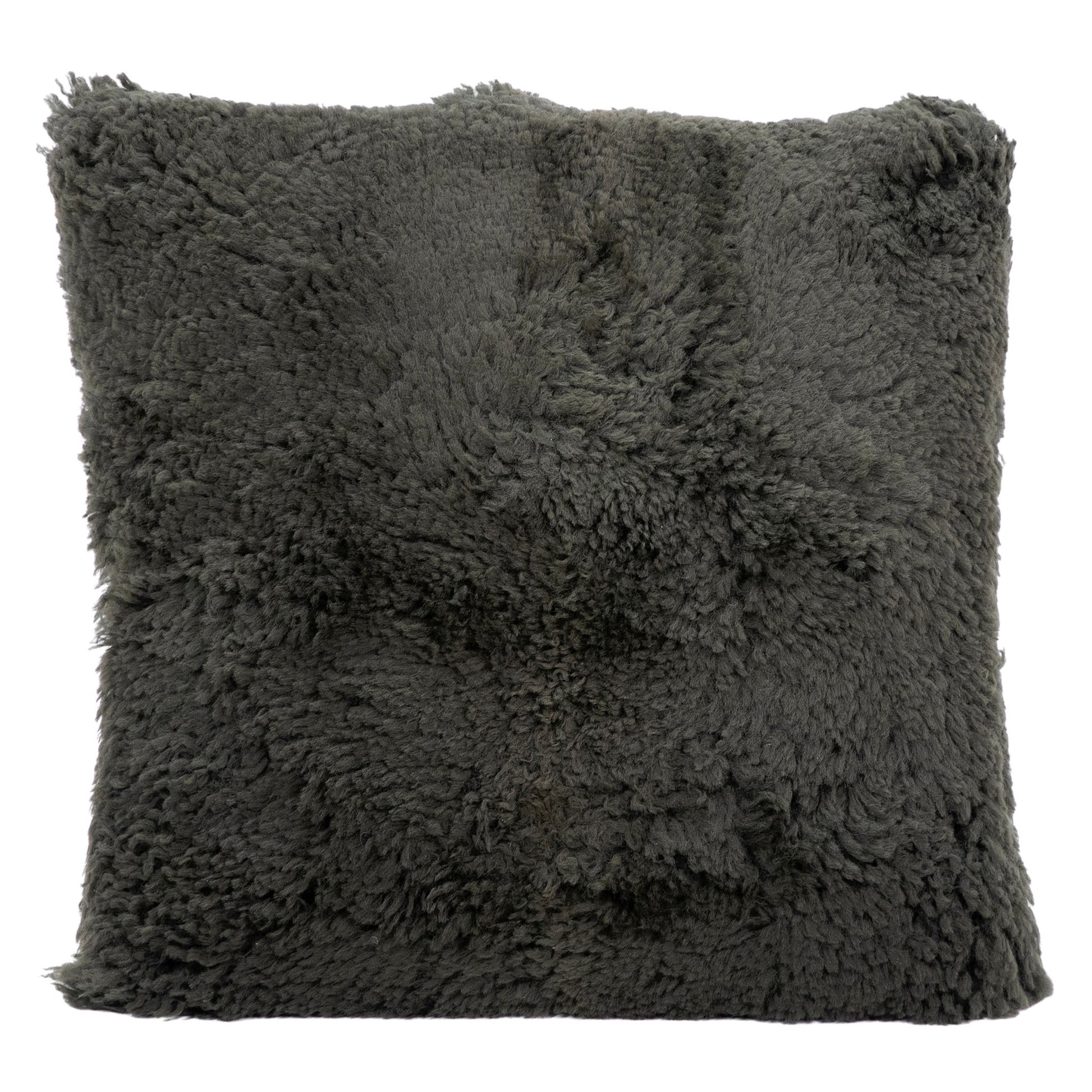 Kiwi Pillow