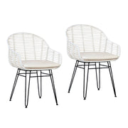 Niles Dining Chair Set of 2 22"