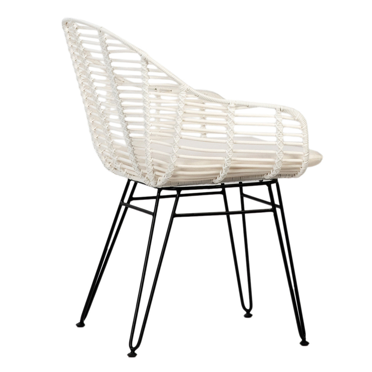 Niles Dining Chair Set of 2 22"