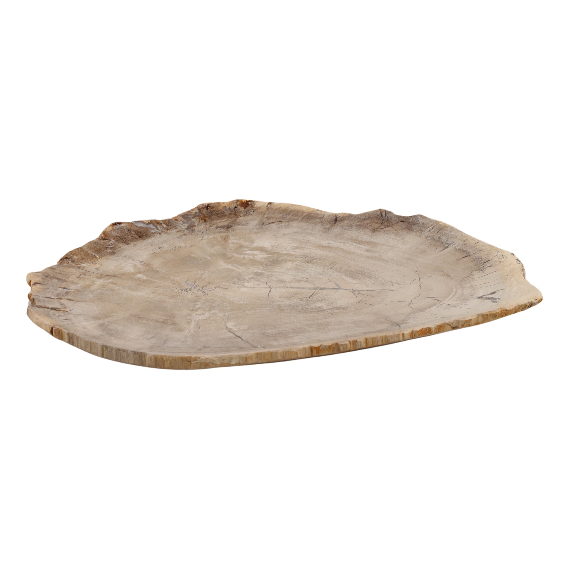 Basilia Tray