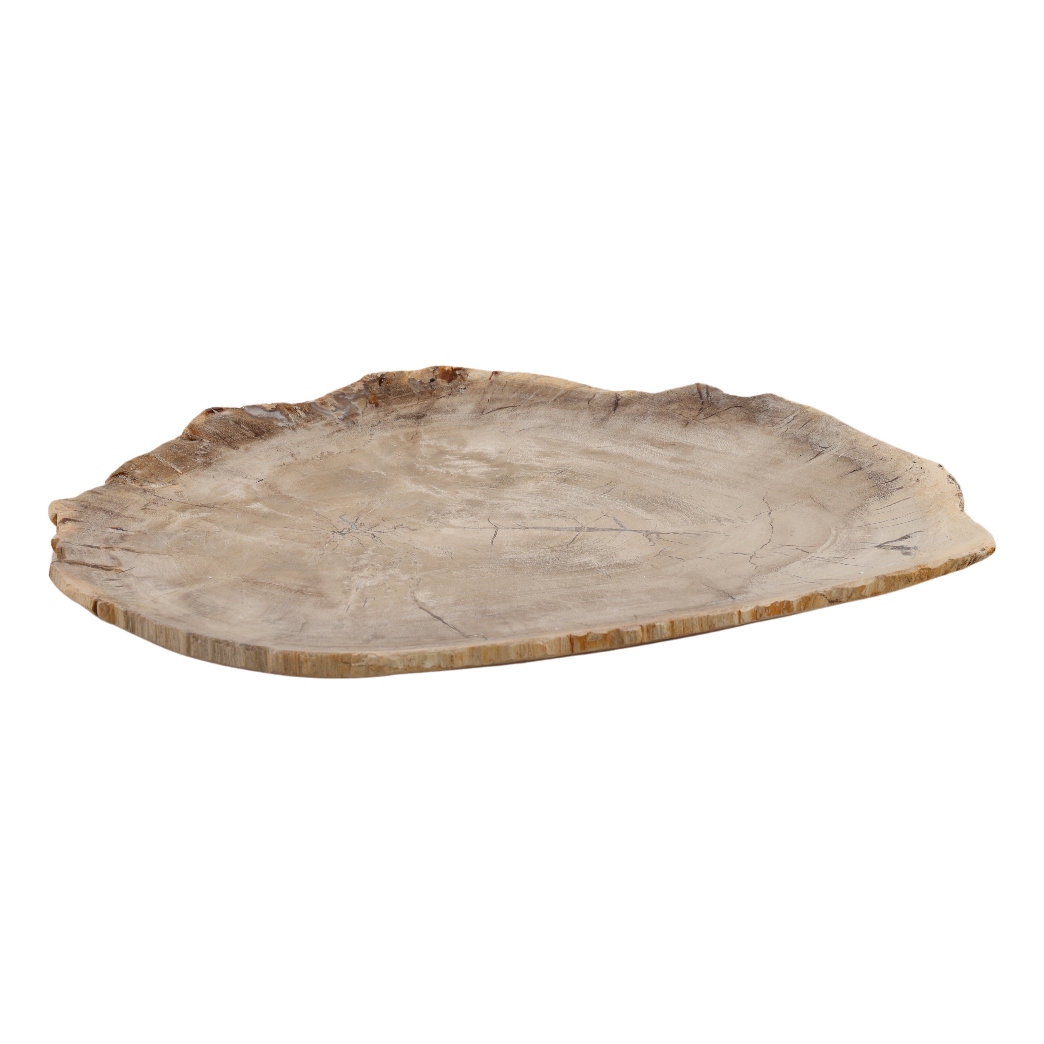 Basilia Tray