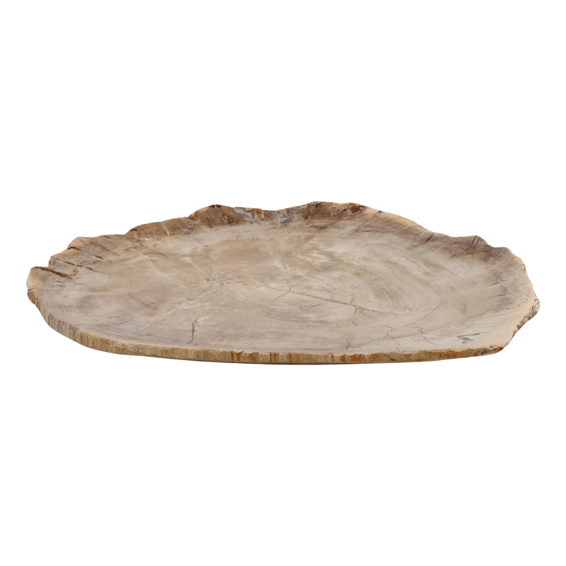 Basilia Tray