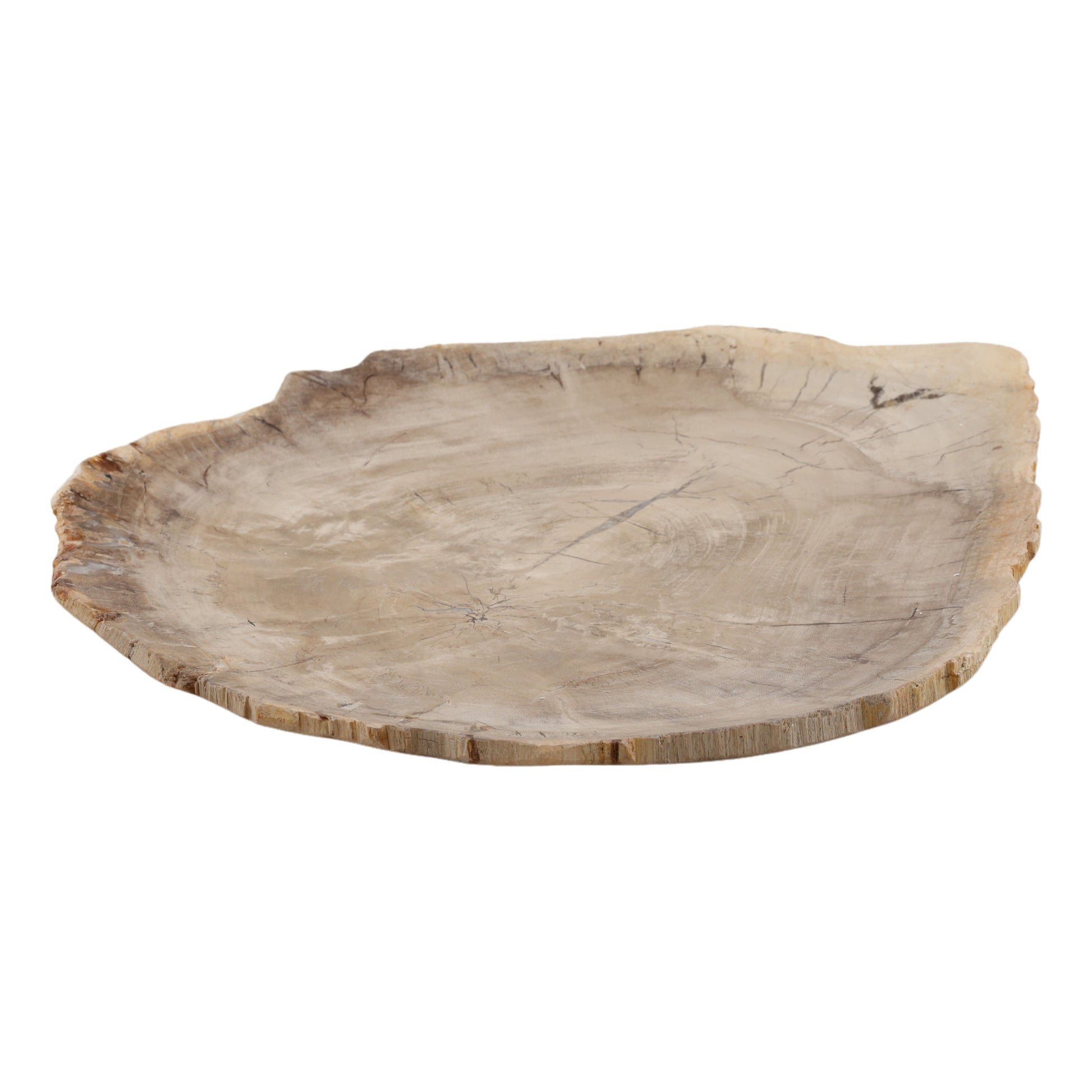 Basilia Tray