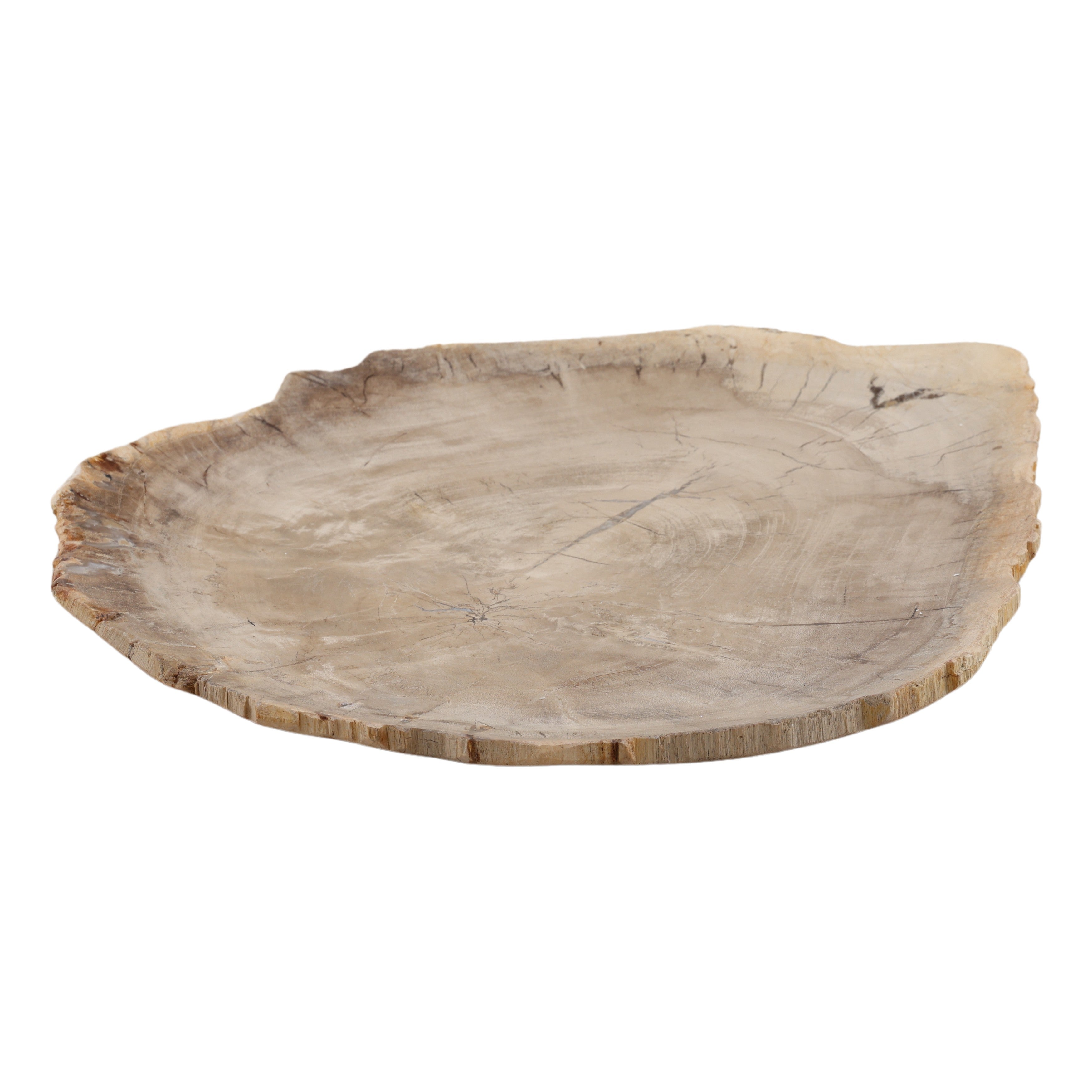 Basilia Tray