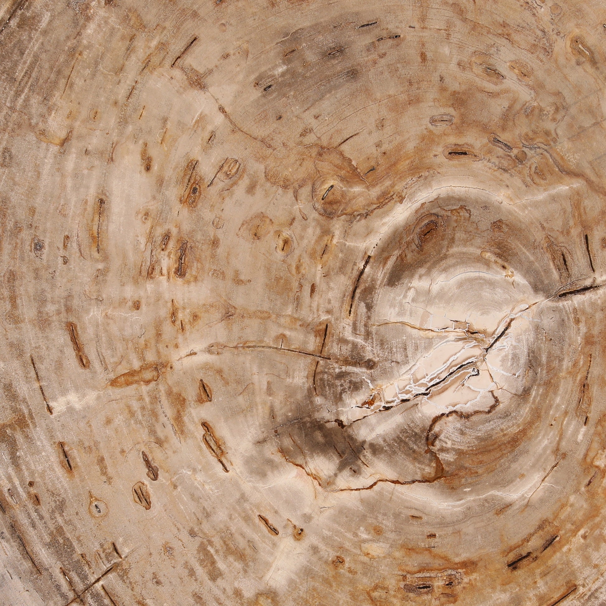 Sampson Coffee Table