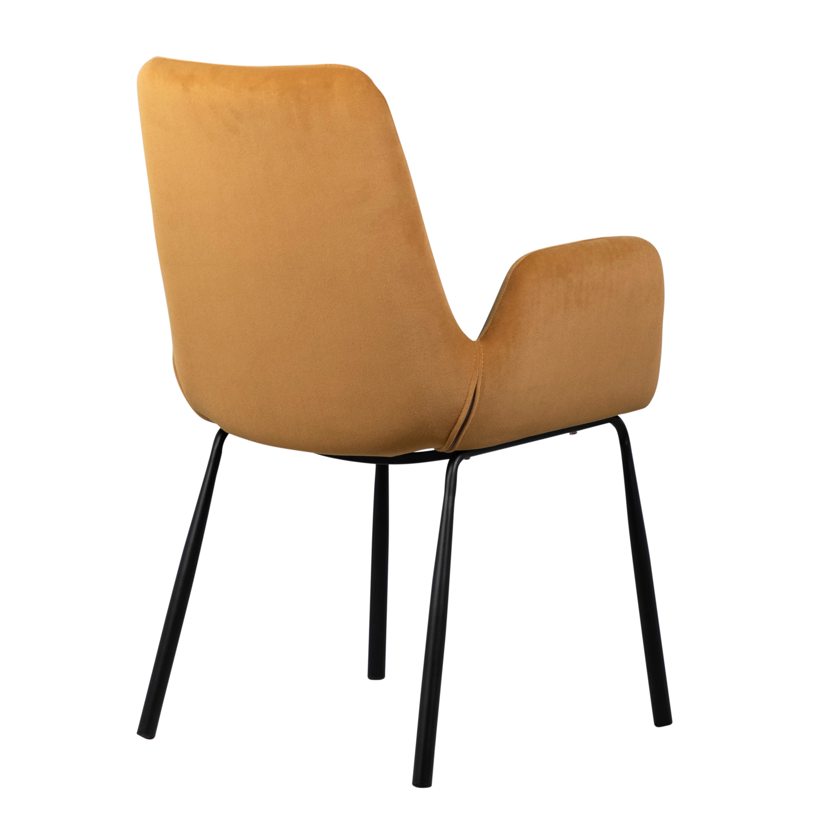 Venice Dining Chair