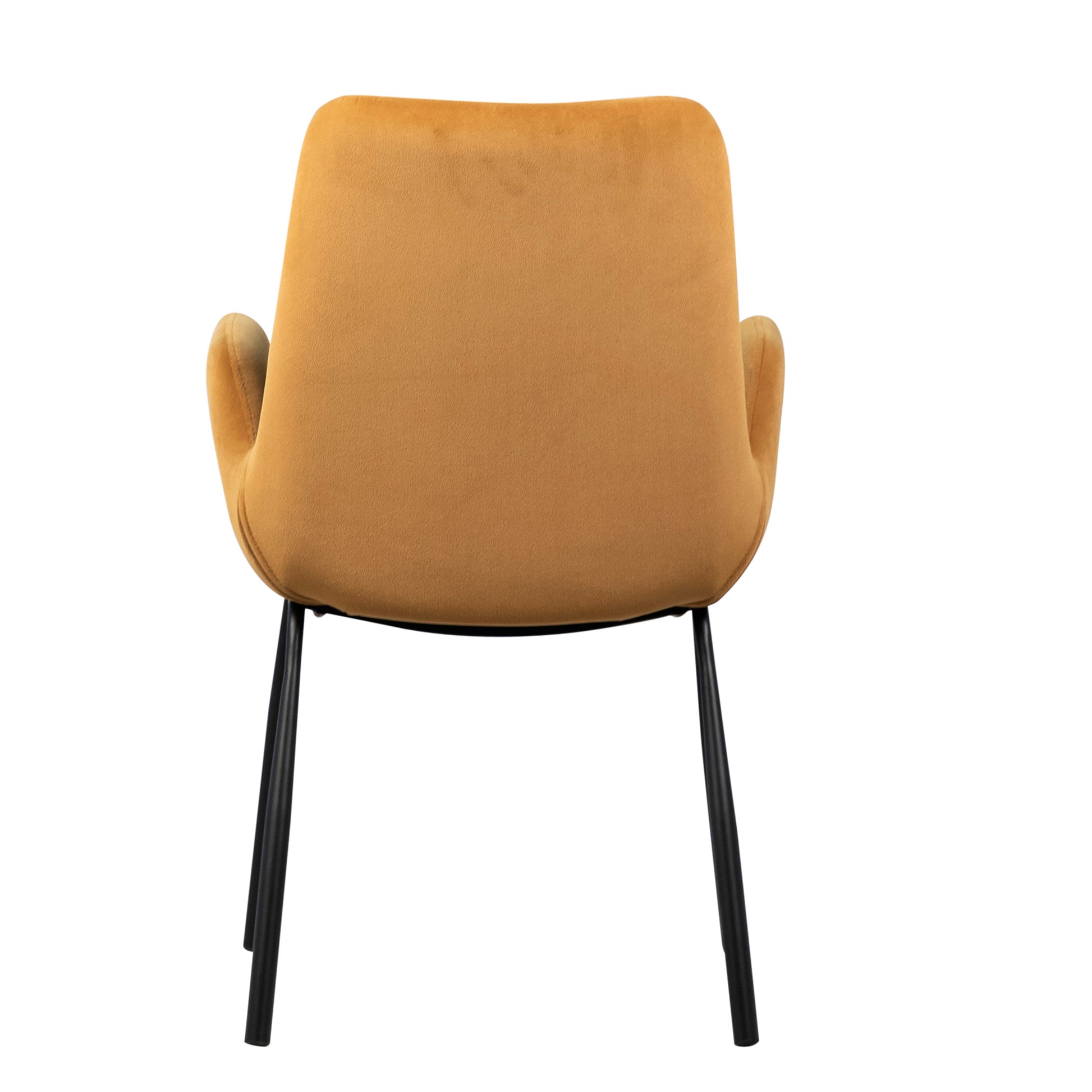 Venice Dining Chair