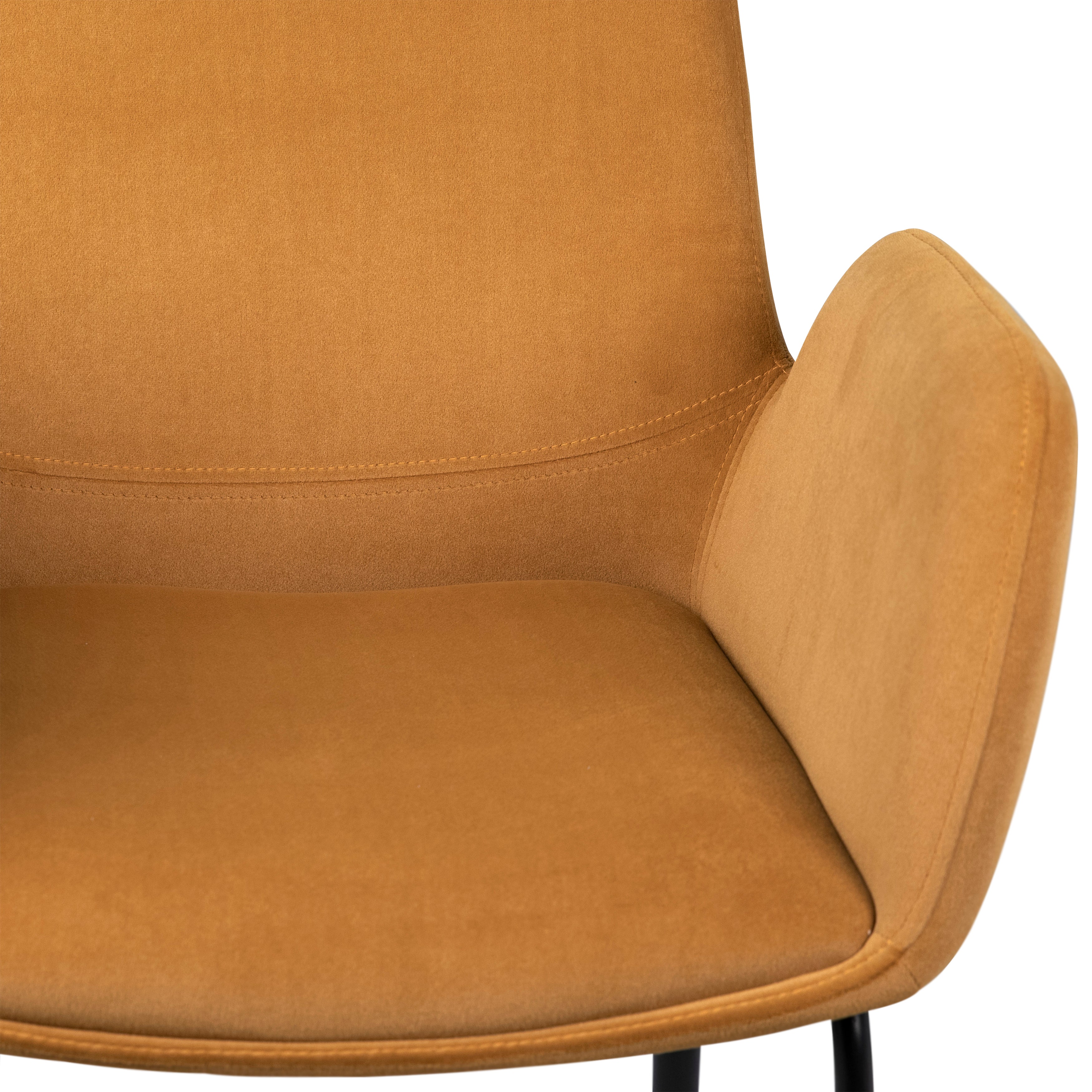 Venice Dining Chair