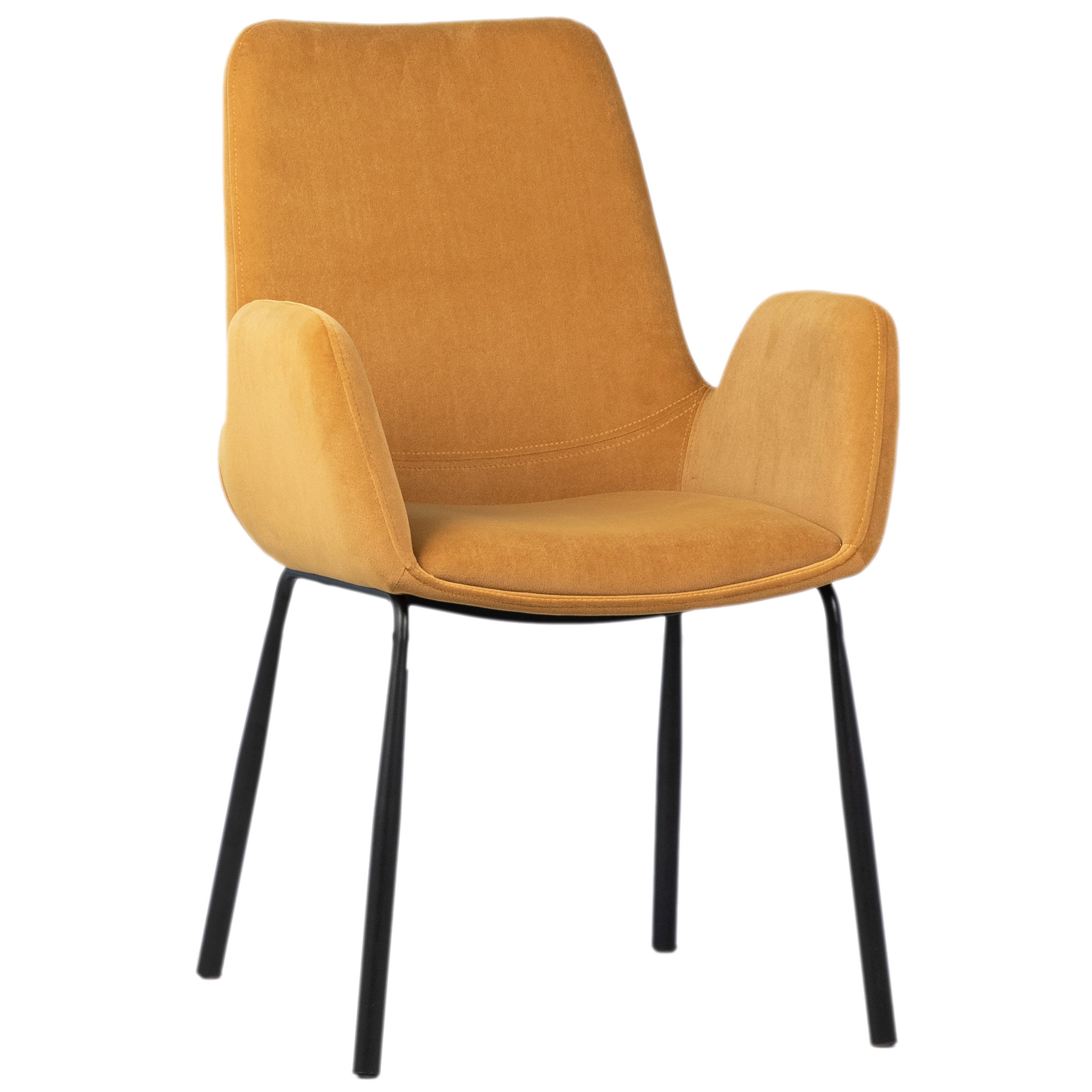 Venice Dining Chair