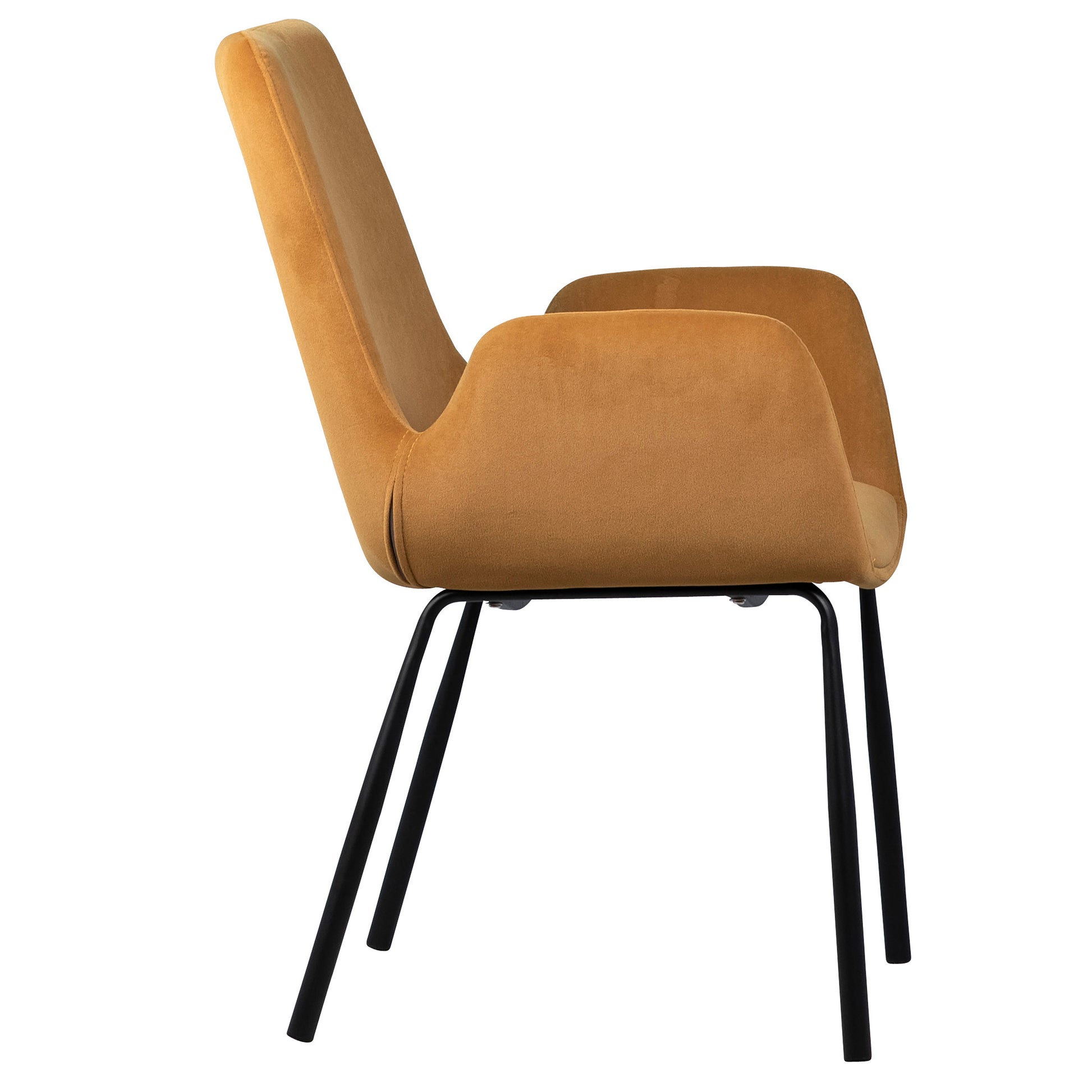 Venice Dining Chair