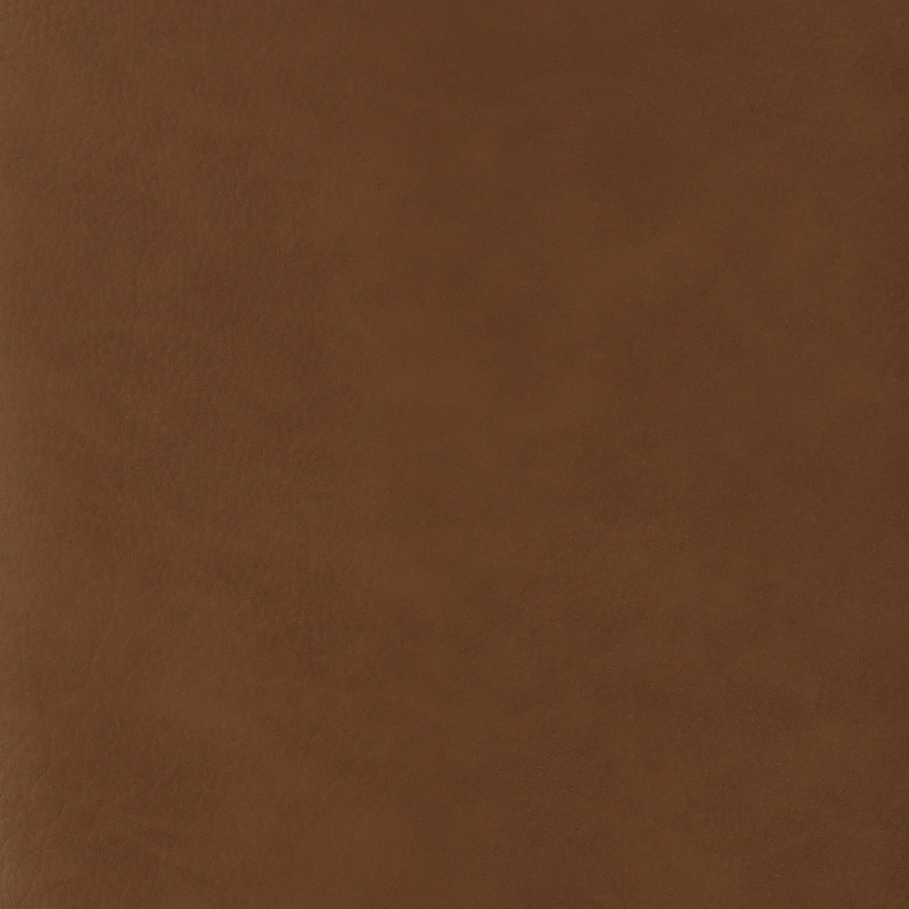 Stefano Dining Chair Set of 2 24"