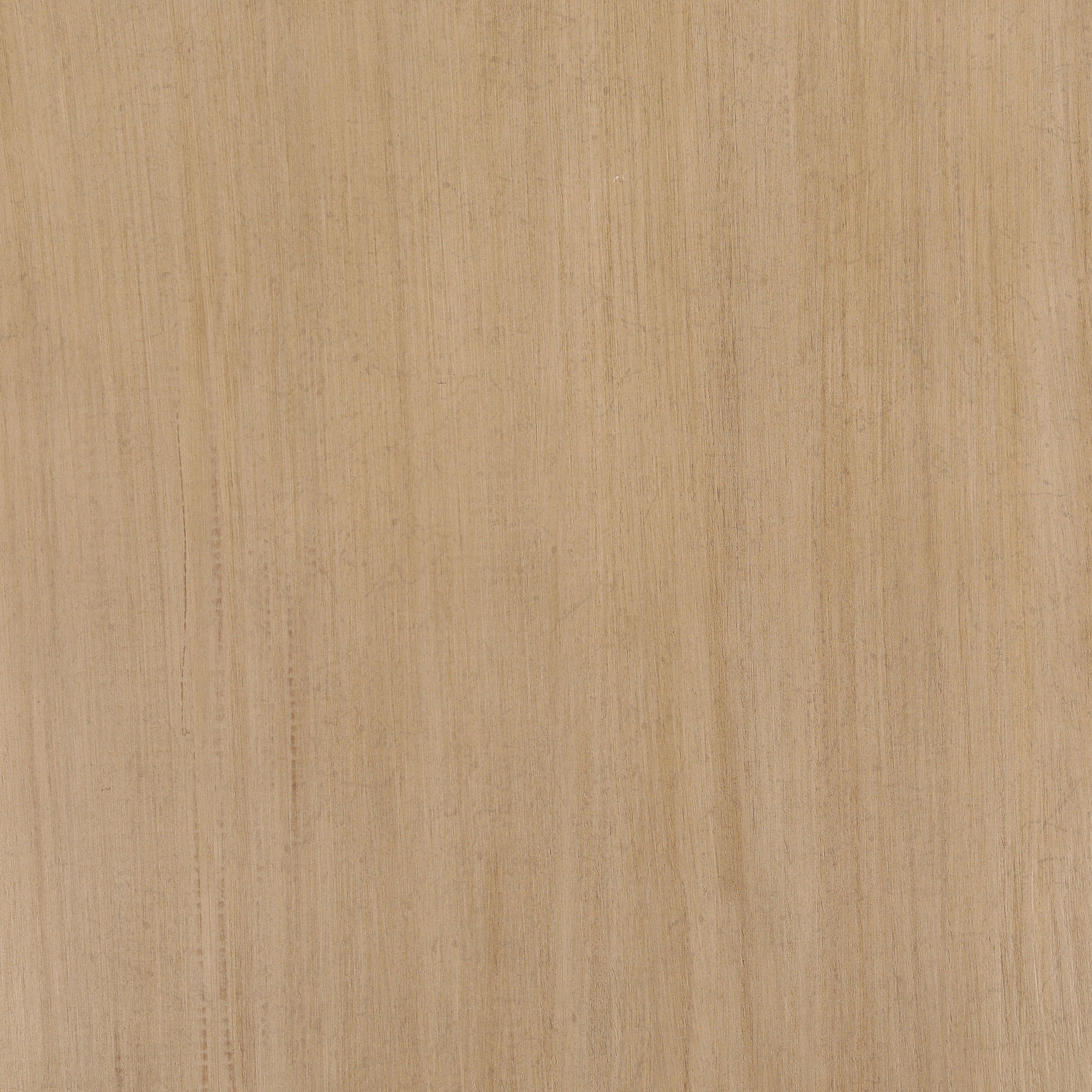 Eloy Dining Table